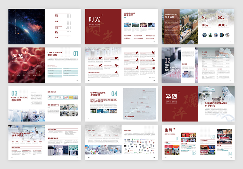 銀豐生物集團(tuán)企業(yè)畫冊設(shè)計